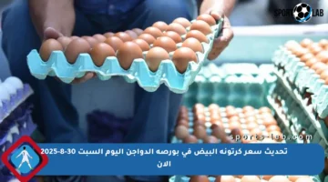 تحديث سعر كرتونة البيض في بورصة الدواجن اليوم السبت 30-8-2025 الآن